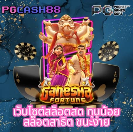 เว็บcat888